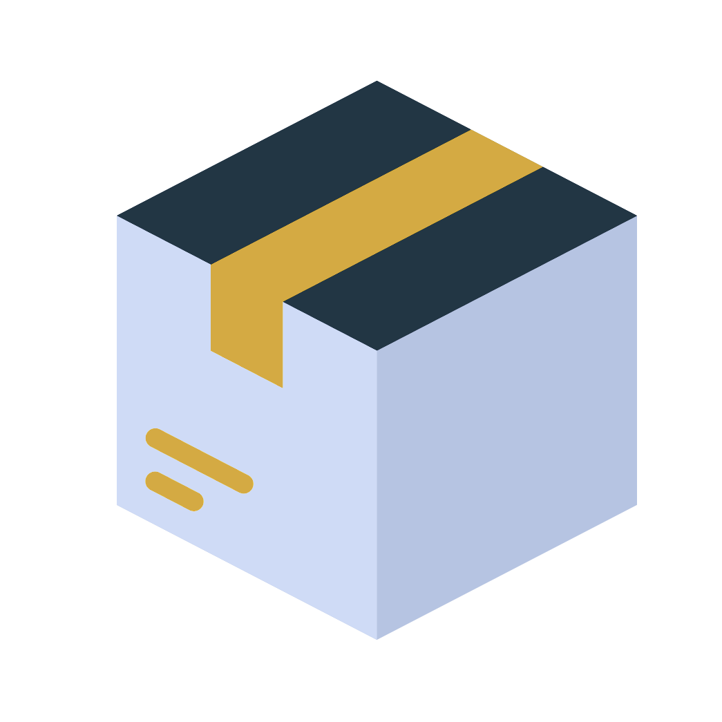 fast courier service for individuals